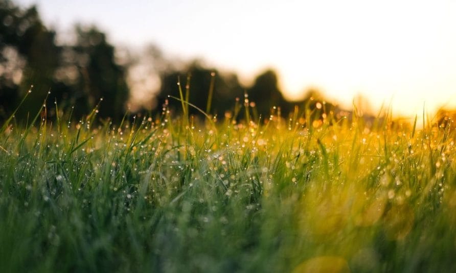 nedeljni horoskop do 25. septembra horoskop za septembar 2023. godine