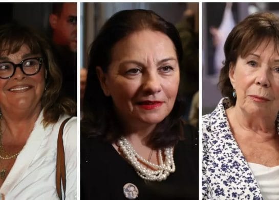 Unuci domaćih glumica