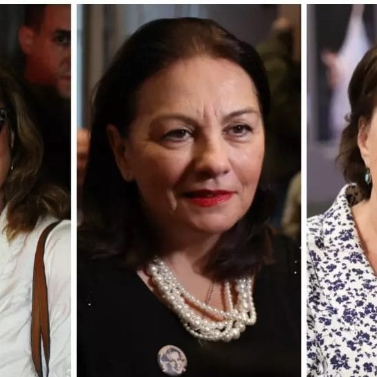 Unuci domaćih glumica