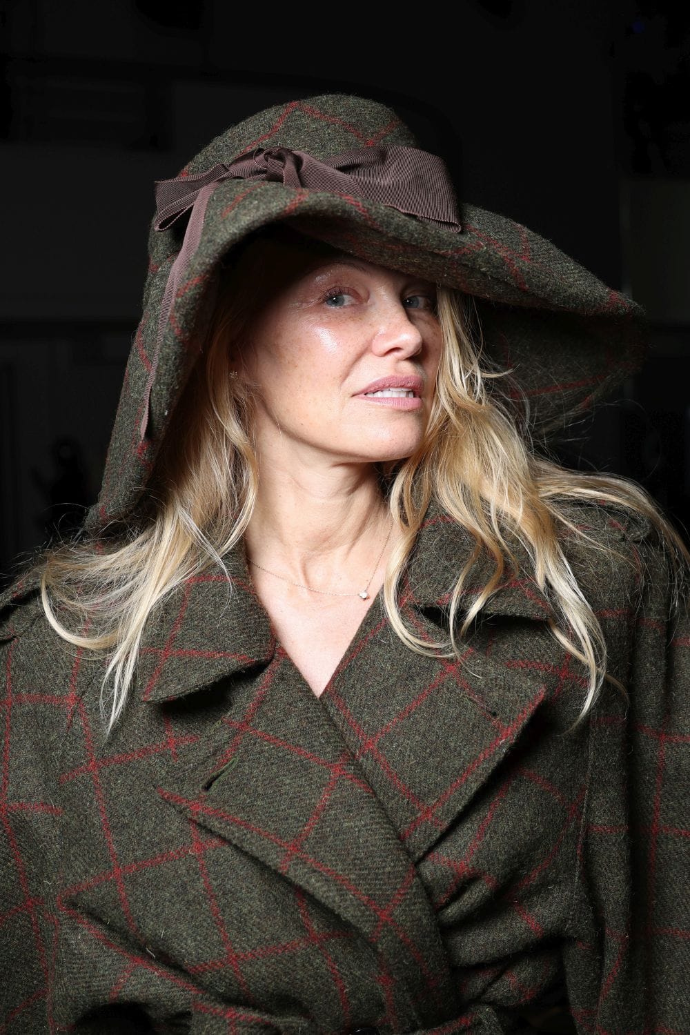 izgled pamele anderson