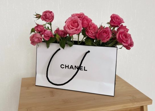 chanel mini kelly najpraktičnije torbe