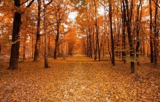 mesečni horoskop za oktobar 2023. godine