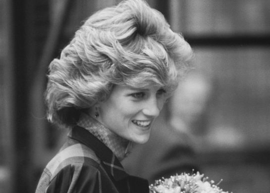 tajna lepote princeze dajane