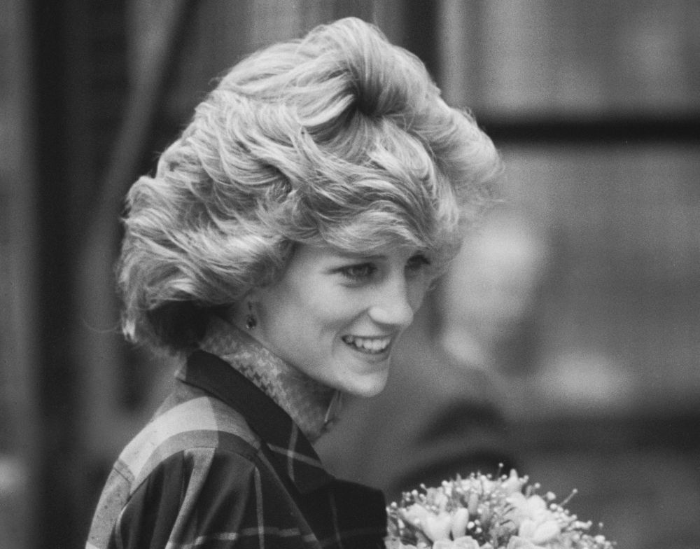 tajna lepote princeze dajane