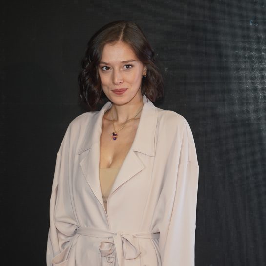 Suđenje Miroslavu Aleksiću