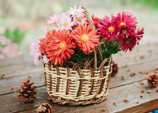 nedeljni horoskop do 20. novembra nedeljni horoskop do 4. decembra