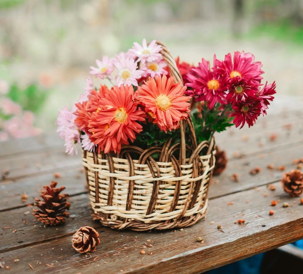 nedeljni horoskop do 20. novembra nedeljni horoskop do 4. decembra