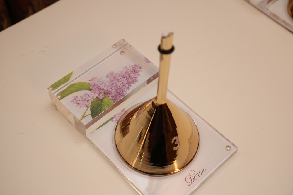 Tamara Vučić u Parizu 