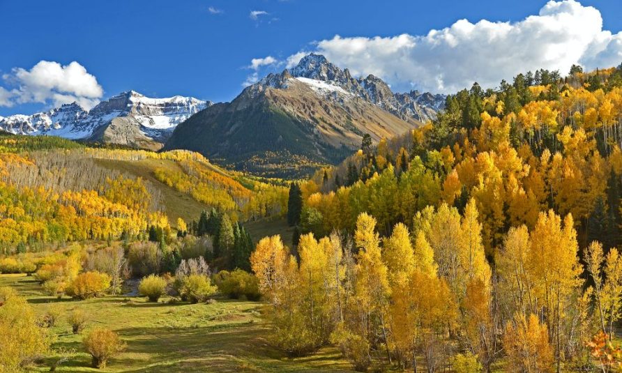 nedeljni horoskop do 13. novembra najtačniji horoskop