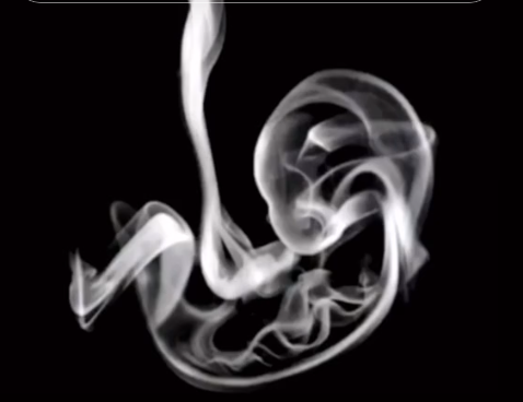 Kakvog ste karaktera