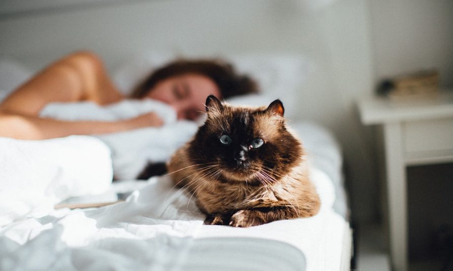 Kako spavanje utiče na pojavu bora