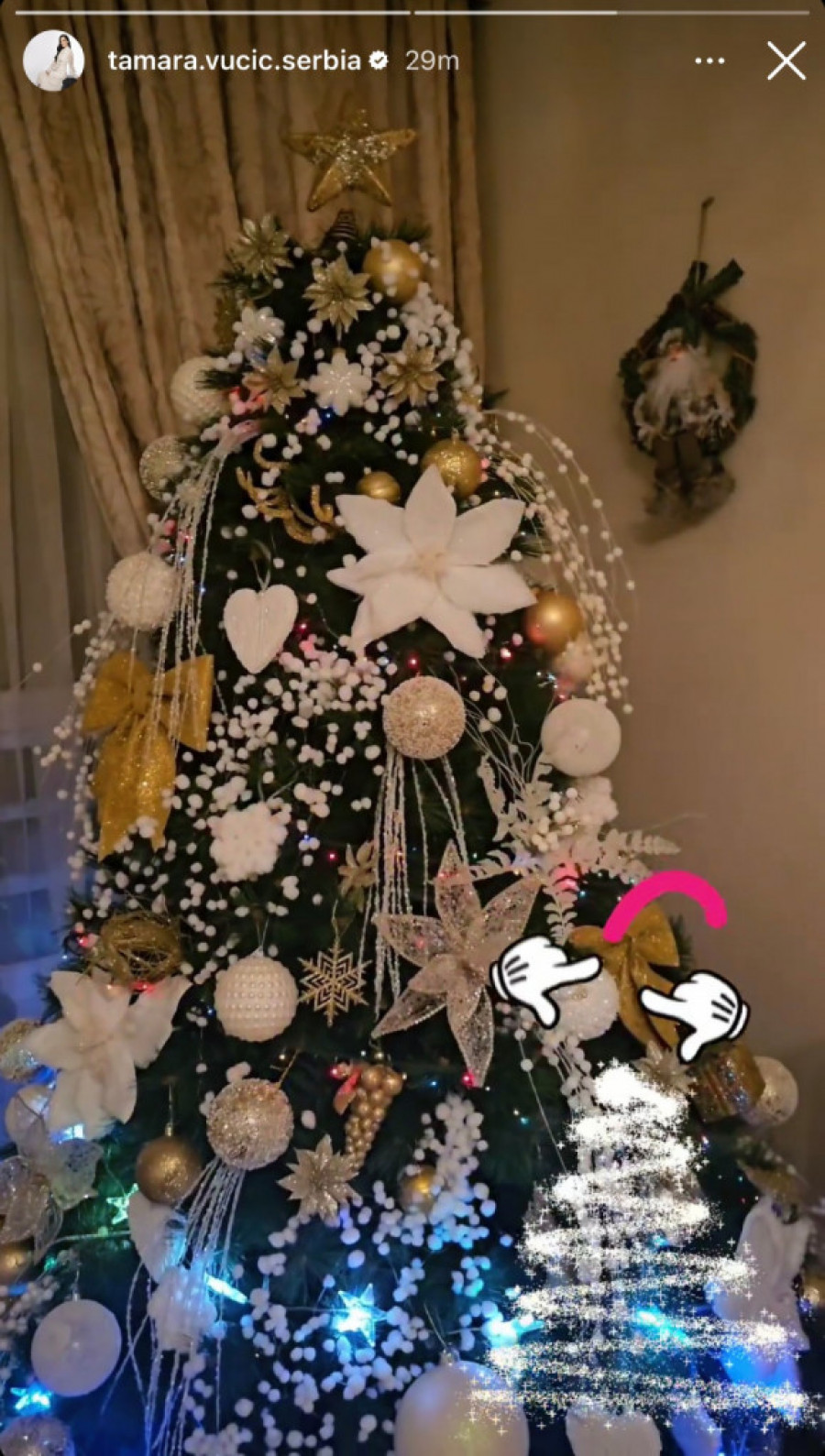 Jelka Tamare Vučić