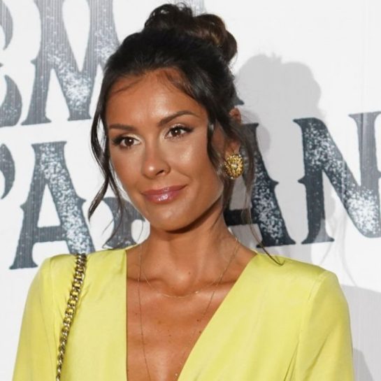 Stil Dragane Mićalović