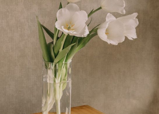 nedeljni horoskop do 22. januara