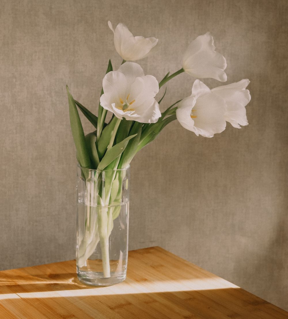 nedeljni horoskop do 22. januara