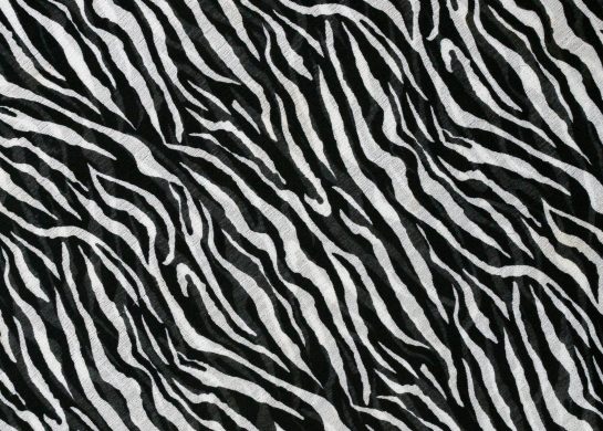 Zebra print