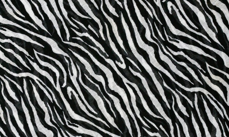 Zebra print