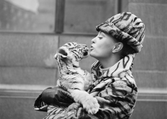 Stil žene mafijaša