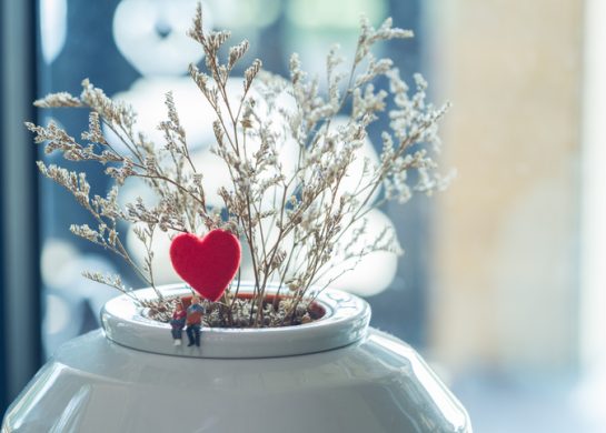 feng šui saveti za ljubav