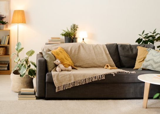 pravila za uređenje doma