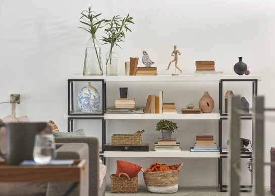 kako da police za knjige izgleda luksuzno