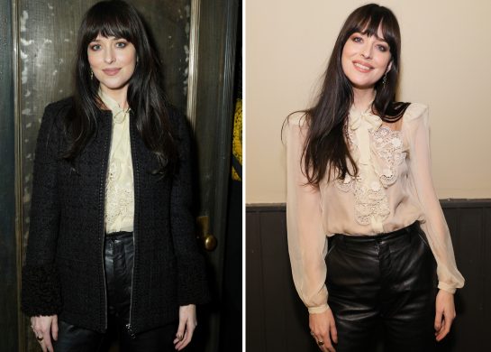 dakota džonson odevne kombinacije za proleće