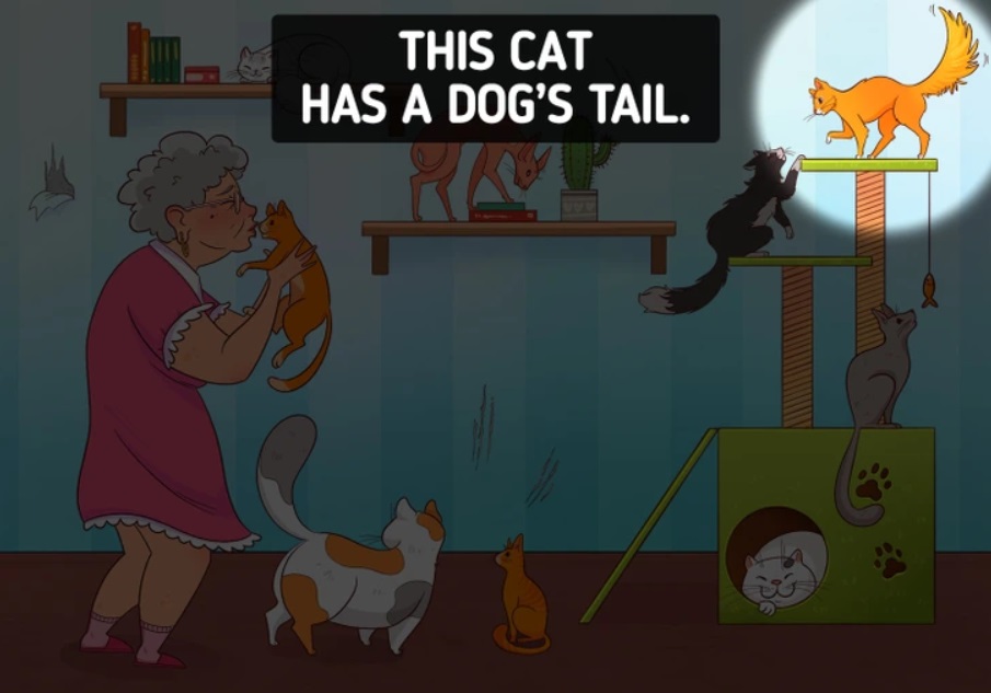 test inteligencije sa pronalaženjem grešaka