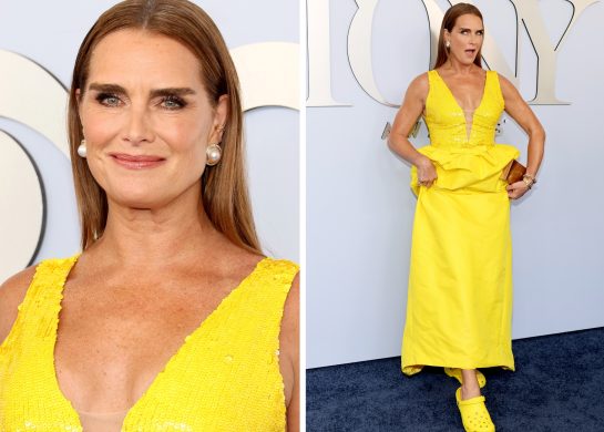 Bruk Šilds, dodela Toni nagrade 2024