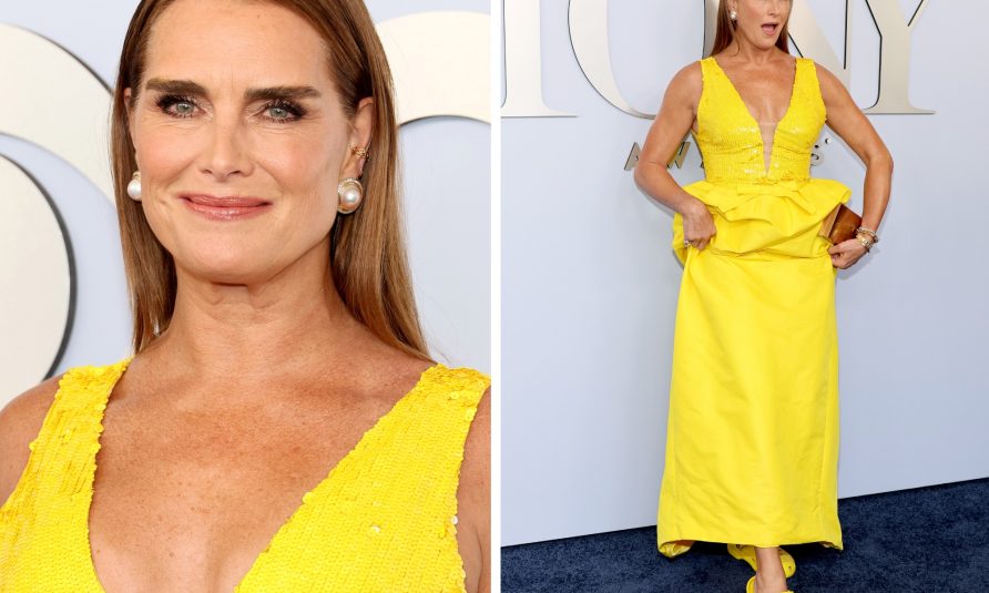 Bruk Šilds, dodela Toni nagrade 2024