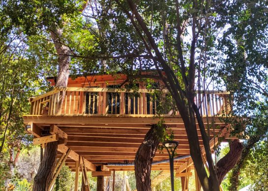Ekskluzivne kućice na drvetu