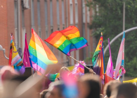 Šta znače različite lgbt zastave, 10 filmova o LGBTQIA+