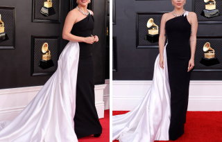 Lady Gaga udomila novo kuče