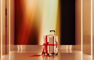 Samsonite koferi, putne torbe, putovanja za novu godinu