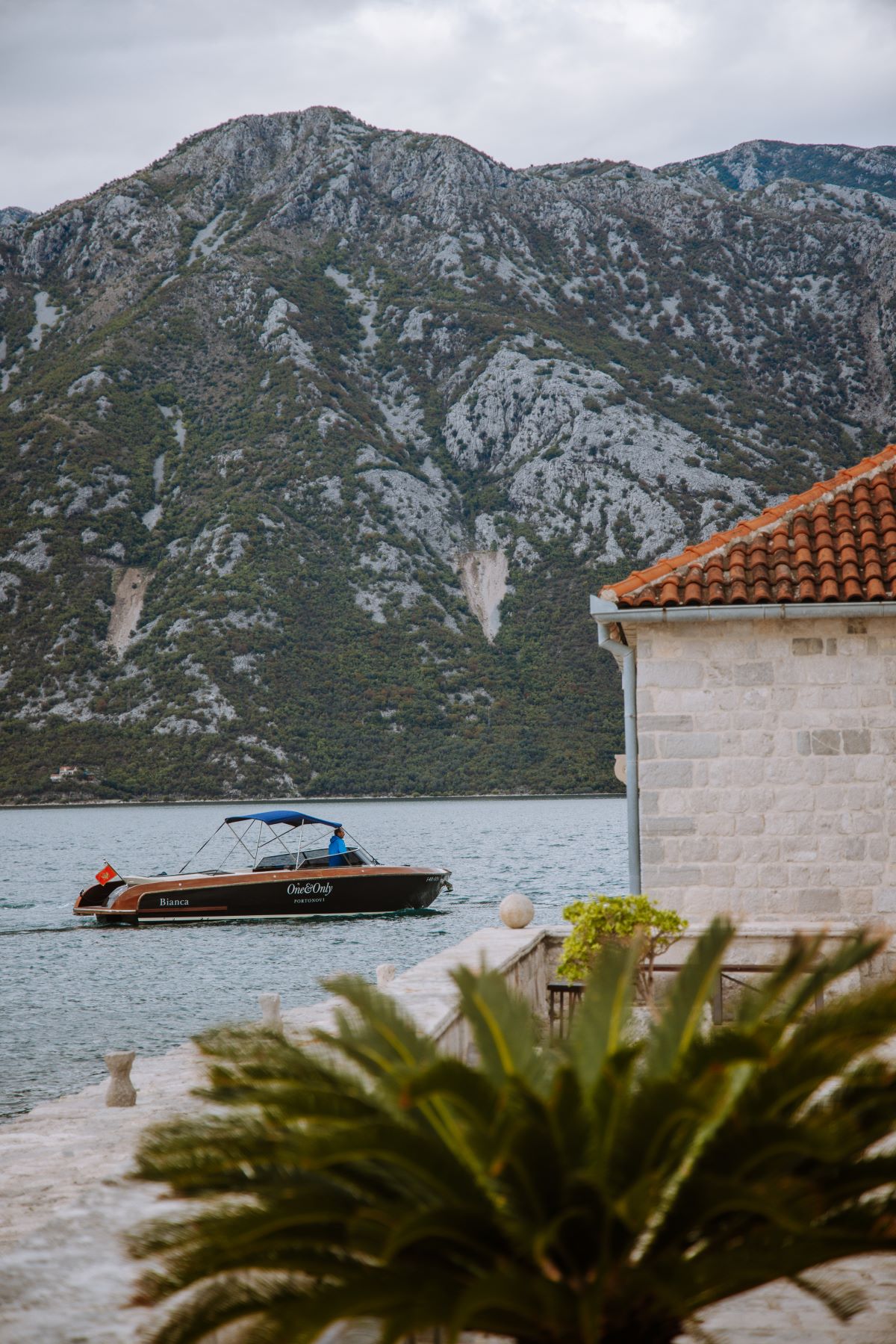 portonovi, dan zaljubljenih