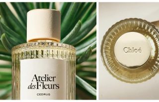 Chloe Atelier des Fleurs Cedrus