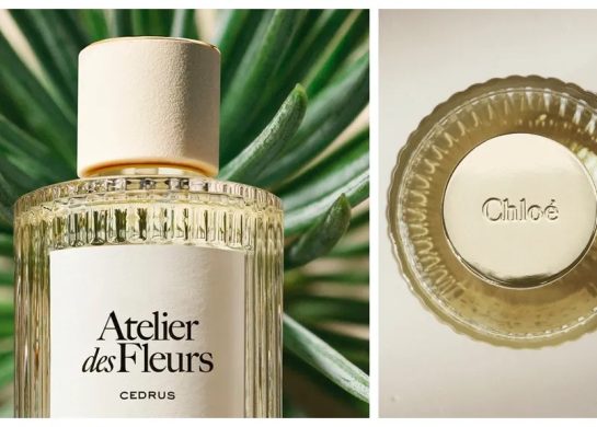 Chloe Atelier des Fleurs Cedrus