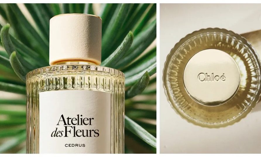 Chloe Atelier des Fleurs Cedrus