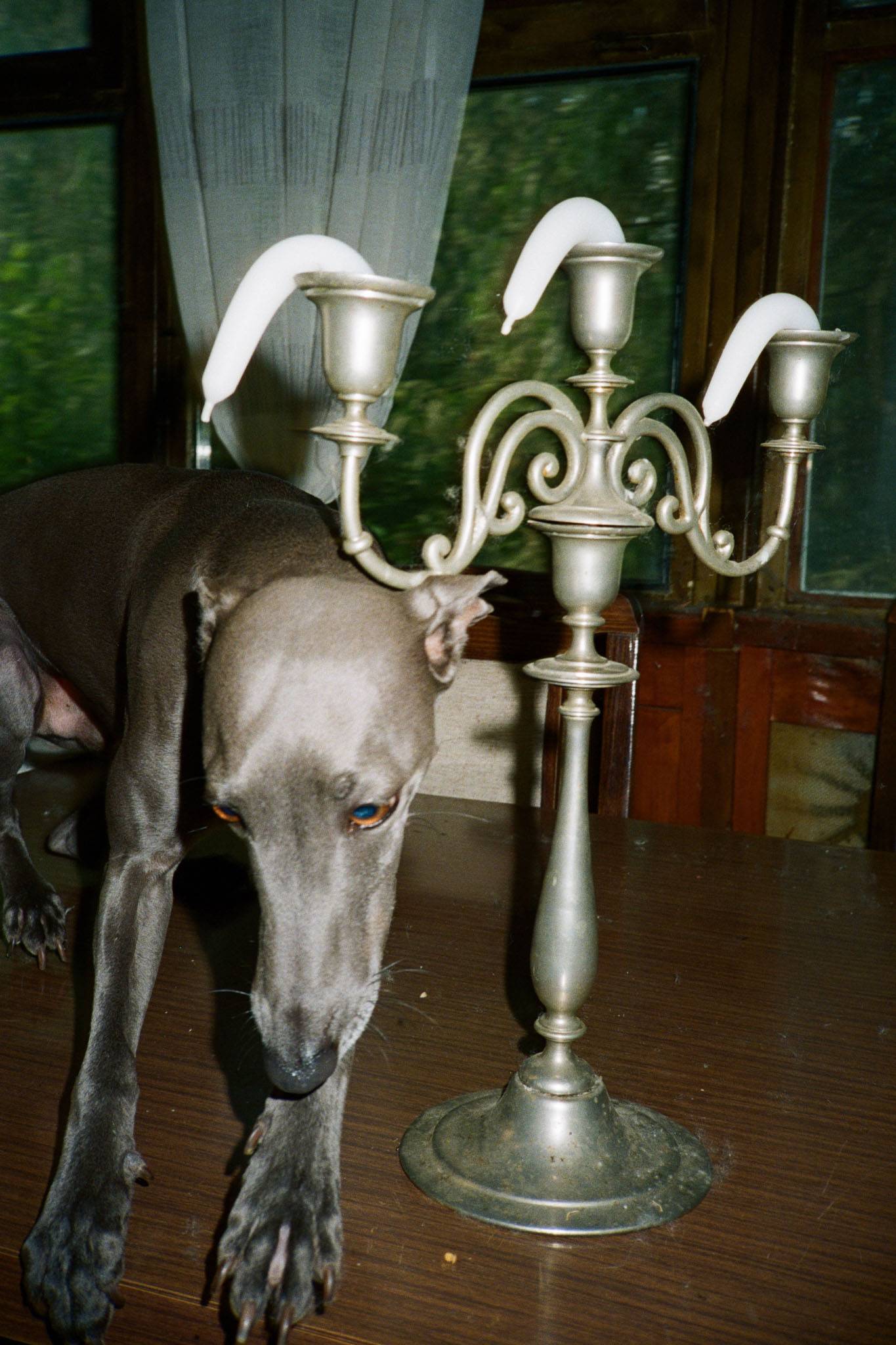 Belgrade Raw i Jelena Nikolić na Sarajevo Photography Fest