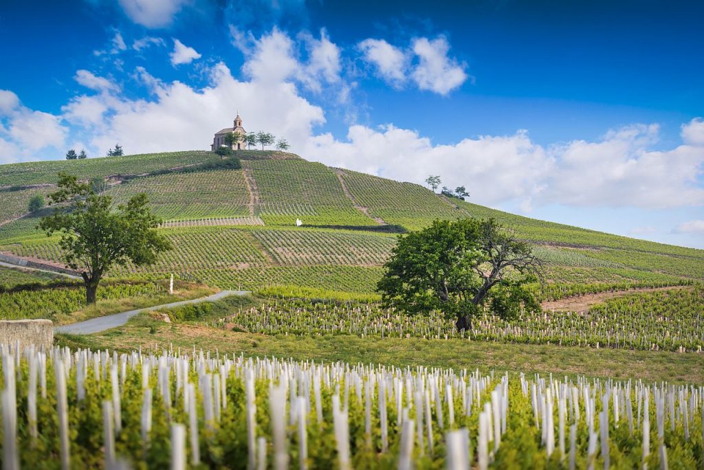 vinarije u srbiji, city break