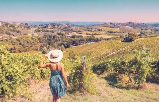 vinarije u srbiji, city break