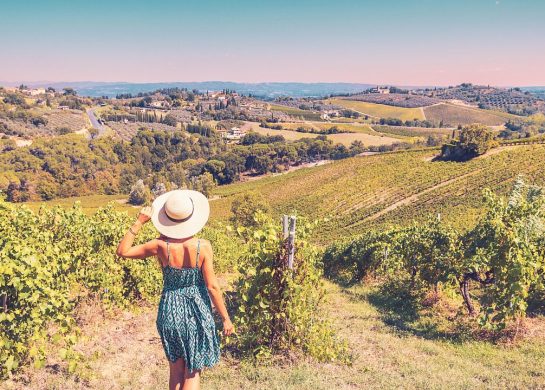 vinarije u srbiji, city break