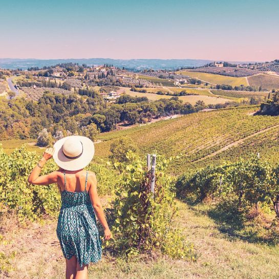 vinarije u srbiji, city break