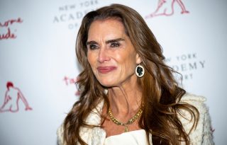 kuhinja brooke shields, elegantna kuhinja, uređenje doma