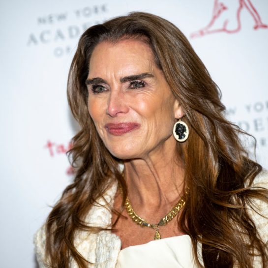 kuhinja brooke shields, elegantna kuhinja, uređenje doma