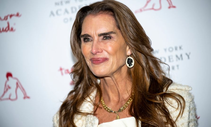 kuhinja brooke shields, elegantna kuhinja, uređenje doma