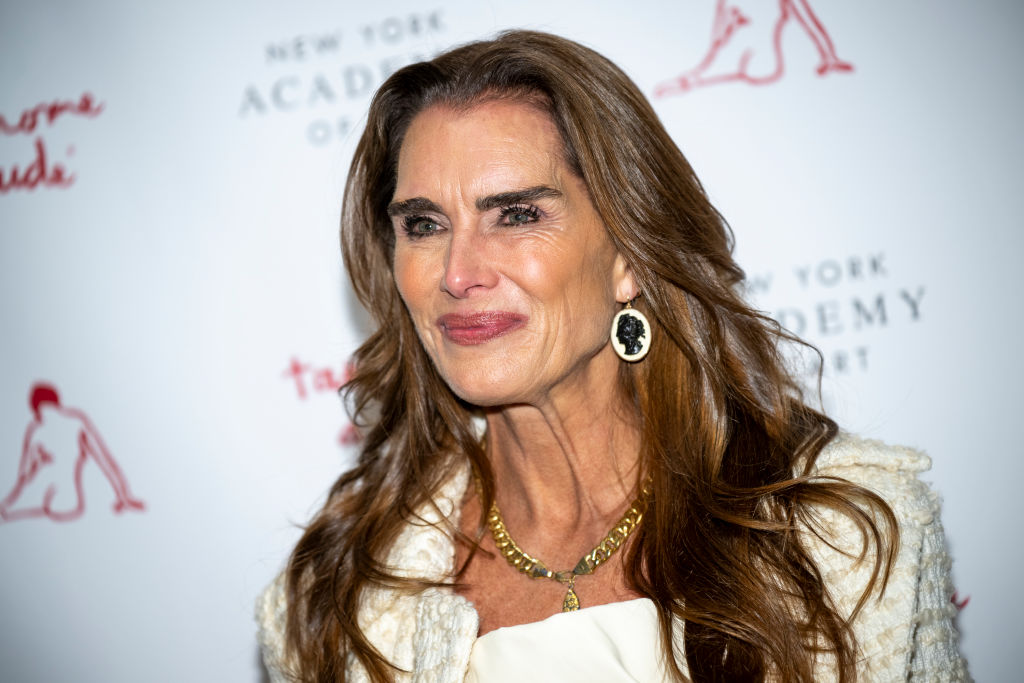 kuhinja brooke shields, elegantna kuhinja, uređenje doma