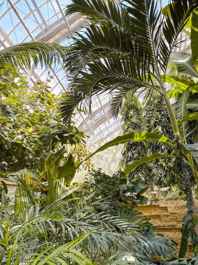 jazz in the garden 2025