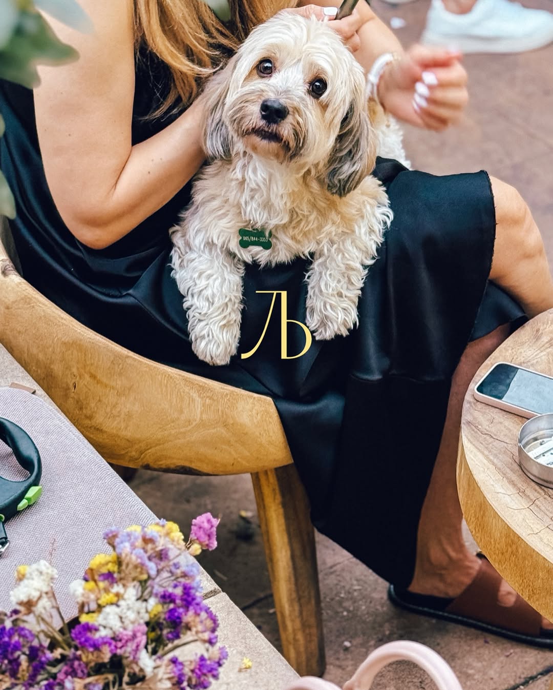 restoran ljubica dorcol beograd