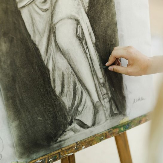 prado na otvorenom, izlozba novi sad