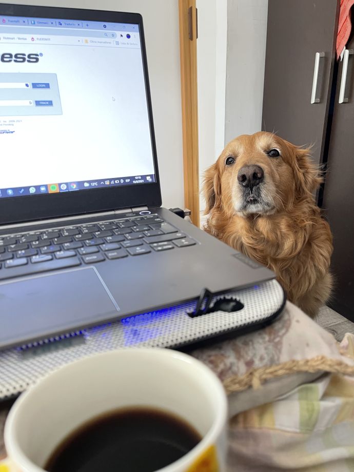 remote work, rad od kuce, mentalno zdravlje